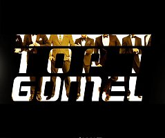 Top7gomel项目